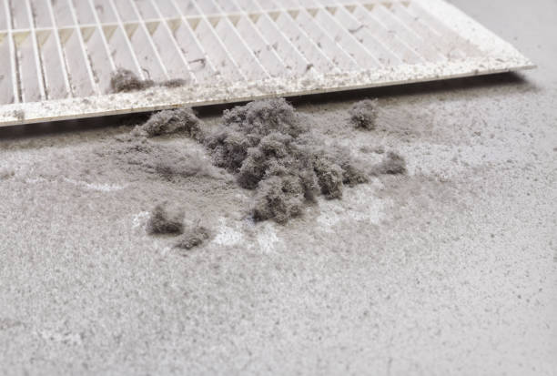 Best HVAC Duct Inspection Services  in Oak Park, CA